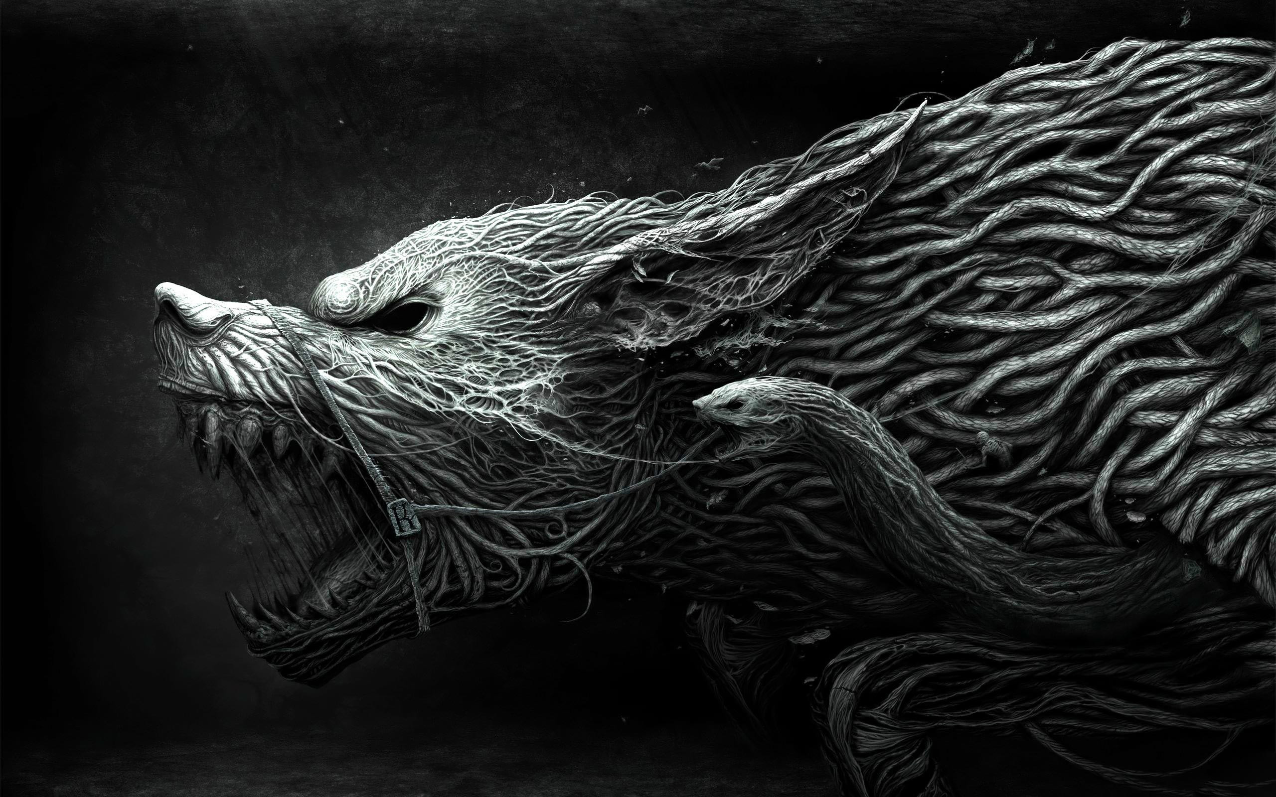 1920 x 1080 HD Wallpapers 2329